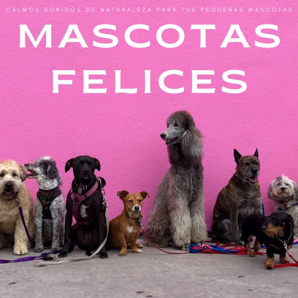 Mascotas Felices: Calmos Sonidos De Naturaleza Para Tus Pequeñas Mascotas - Perritos Fantásticos
