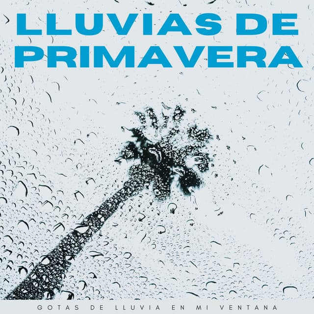 Lluvias De Primavera: Gotas De Lluvia En Mi Ventana - El Canal del Clima
