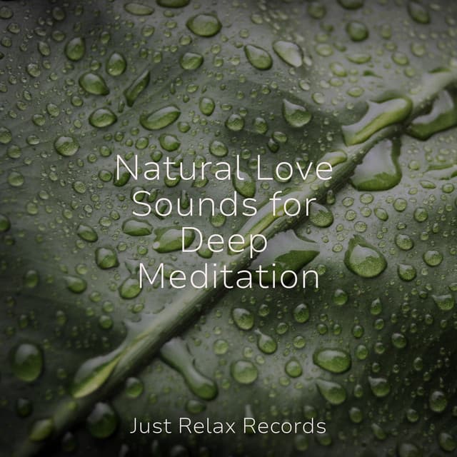 Natural Love Sounds for Deep Meditation - Relaxing Mindfulness Meditation Relaxation Maestro
