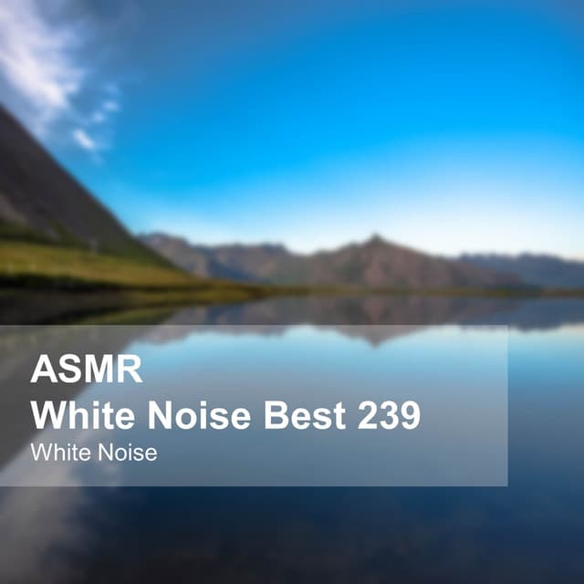 White Noise ASMR Best 239 - White Noise