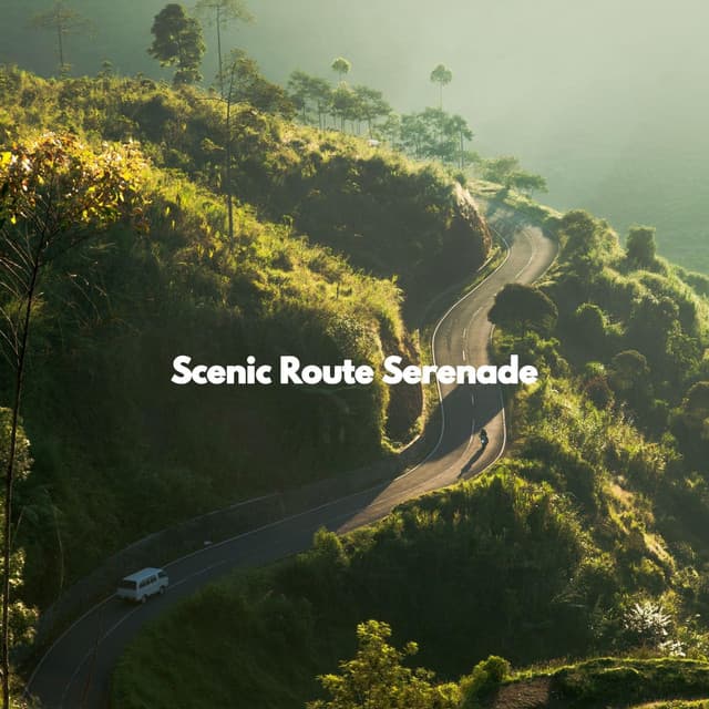 Scenic Route Serenade - Office Work Music