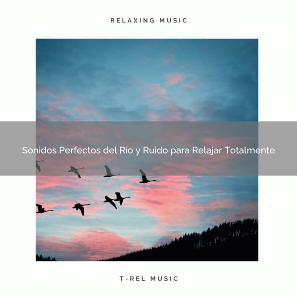 Sonidos Perfectos del Río y Ruido para Relajar Totalmente - Ruido Blanco