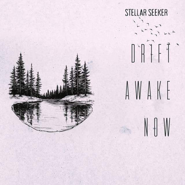 Drift Awake Now - Stellar Seeker