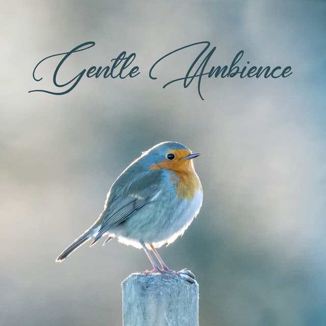 Gentle Ambience - Beth Souls
