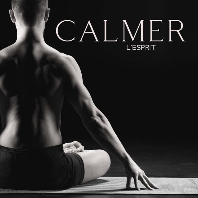 Calmer l'esprit: Musique apaisante pour retrouver le calme d’esprit et rester en paix - Ensemble de Musique Zen Relaxante