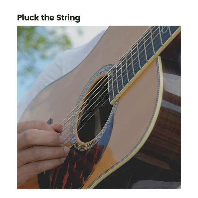 Pluck the String - Guitar Instrumentals