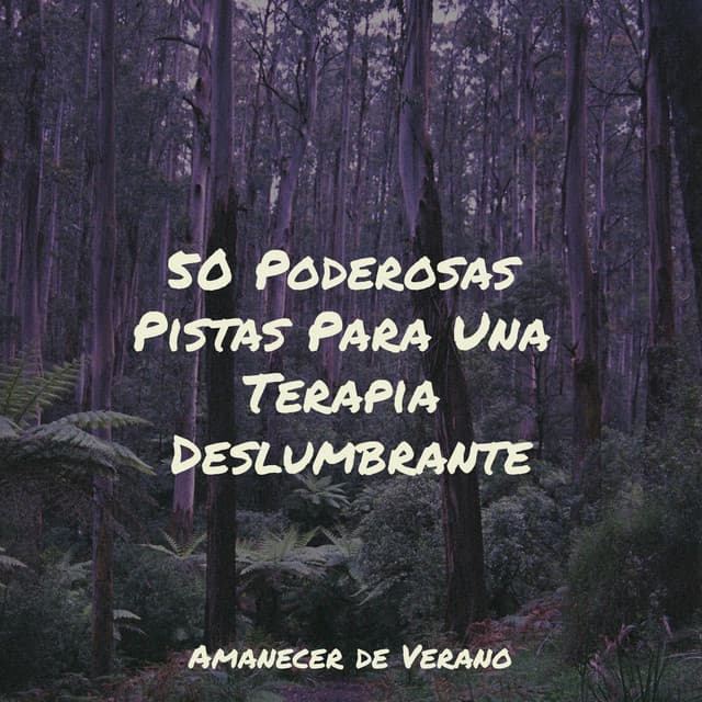 50 Poderosas Pistas Para Una Terapia Deslumbrante - Guitarra Clásica Española