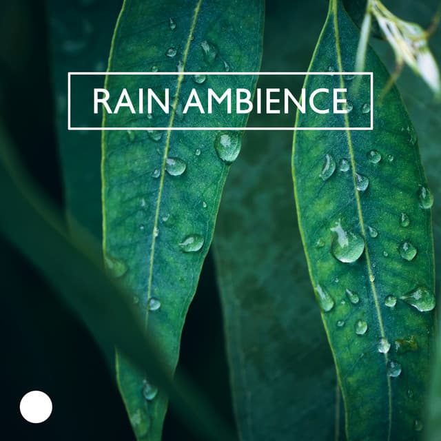 Rain Ambience: Nature Sounds Collection - Rainfall