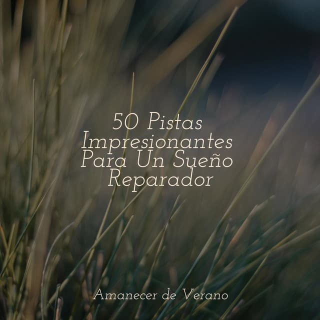 50 Pistas Impresionantes Para Un Sueño Reparador - Sons da Natureza