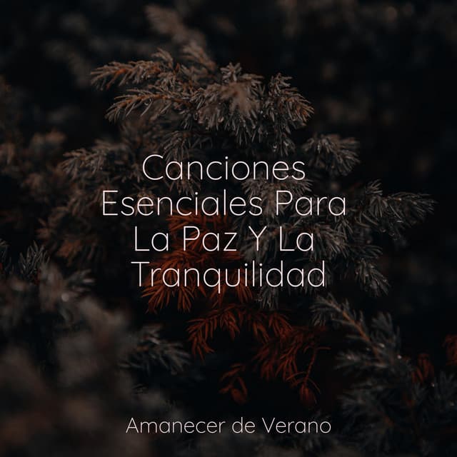 Canciones Esenciales Para La Paz Y La Tranquilidad - Musica Relajante & Yoga