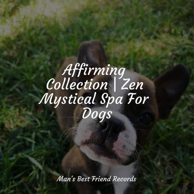 Misty Silhouette Symphony - Azure Winds