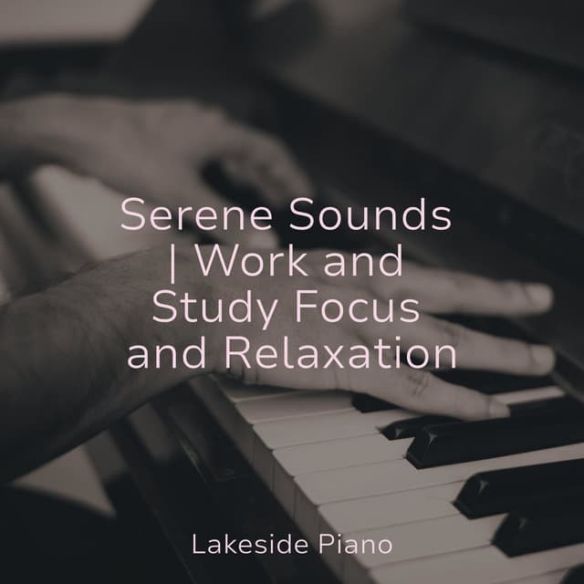 Serene Sounds | Work and Study Focus and Relaxation - SD