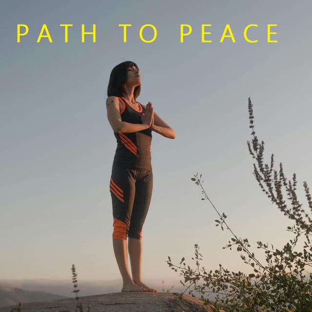 New Beginnings - Path to Peace