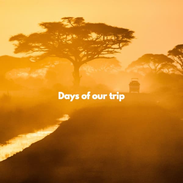 Days of our trip - Jazz Rilassante Ritmi