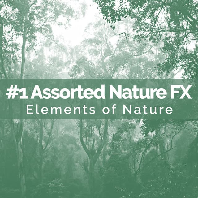 #1 Assorted Nature FX - Elements of Nature