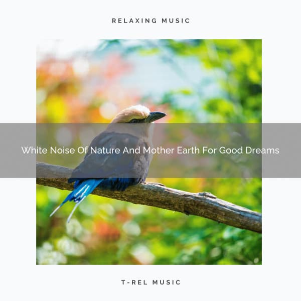 White Noise Of Nature And Mother Earth For Good Dreams - The Noise Project
