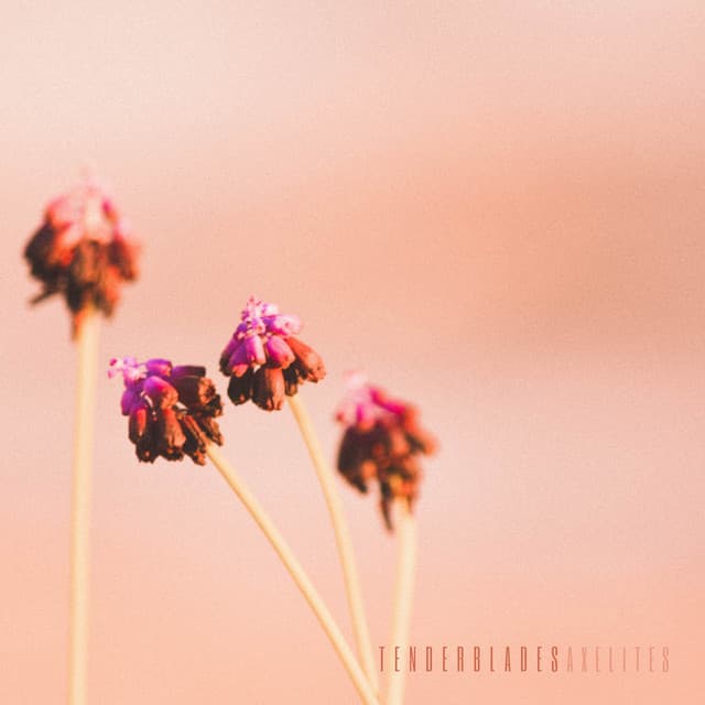 Tenderblades - Axelites