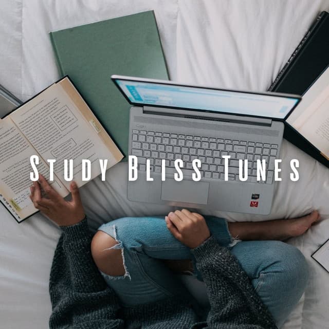 Study Bliss Tunes: Chill Music for Productive Hours - Muse K