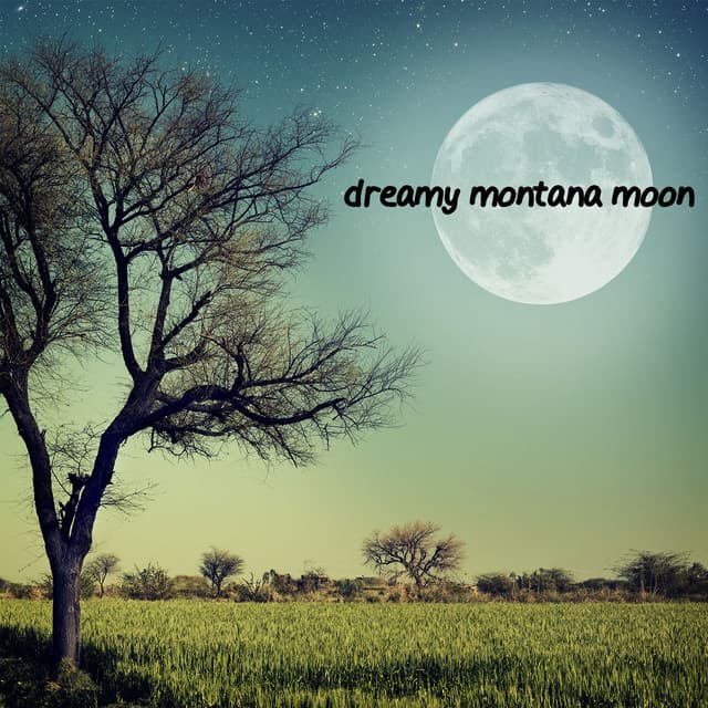 Dreamy Montana Moon - American Country Hits