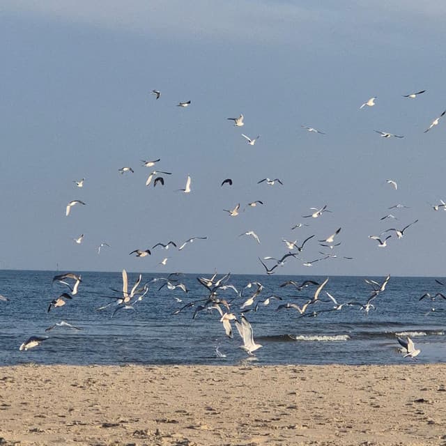 Songs for Mila - Cozy Coffee Shop