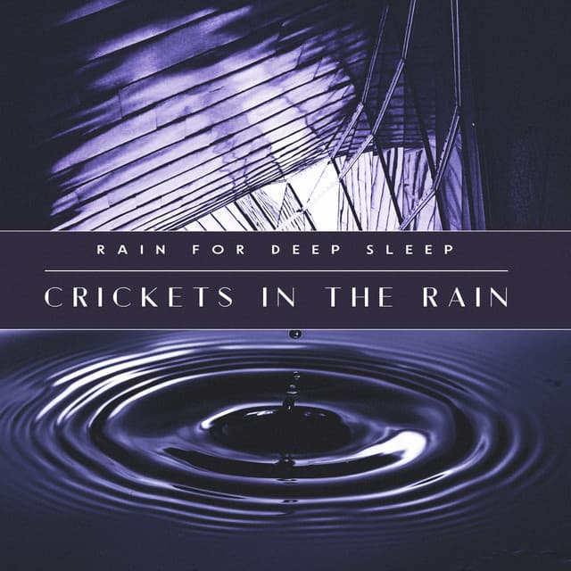 Crickets in the Rain - Rain for Deep Sleep