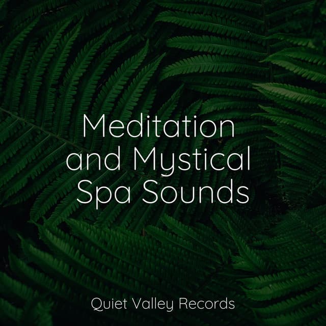 Meditation and Mystical Spa Sounds - Meditação Yoga