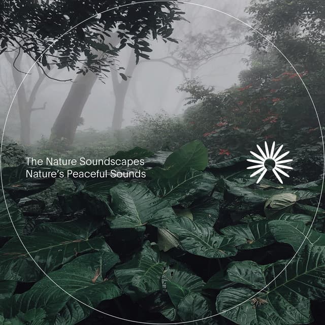 Nature's Peaceful Sounds - The Nature Soundscapes