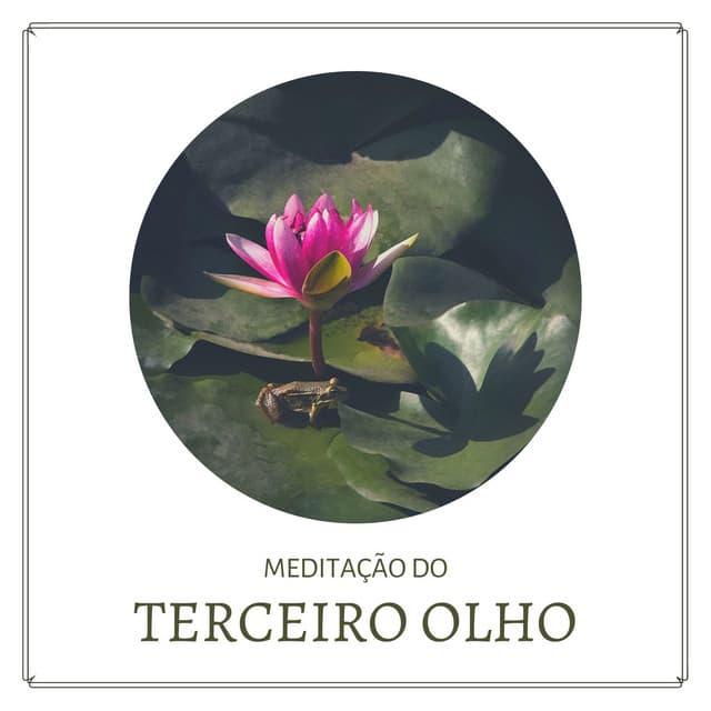 Chakra Música Cura