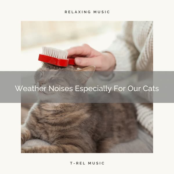 Weather Noises Especially For Our Cats - Cat Total Relax