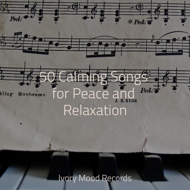 50 Calming Songs for Peace and Relaxation - Relaxing Mindfulness Meditation Relaxation Maestro