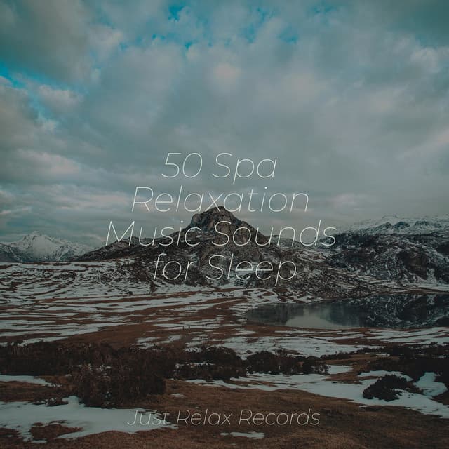 50 Spa Relaxation Music Sounds for Sleep - Children's Music