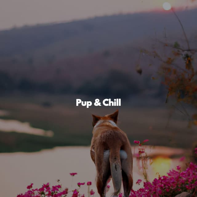 Pup & Chill - Jazz Ligera para Hoteles