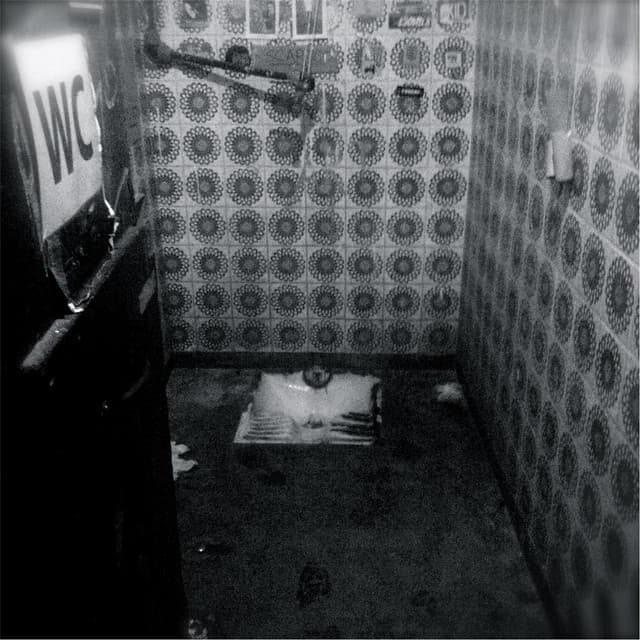 The Blessed Beat Live in Bologna - David Kollar