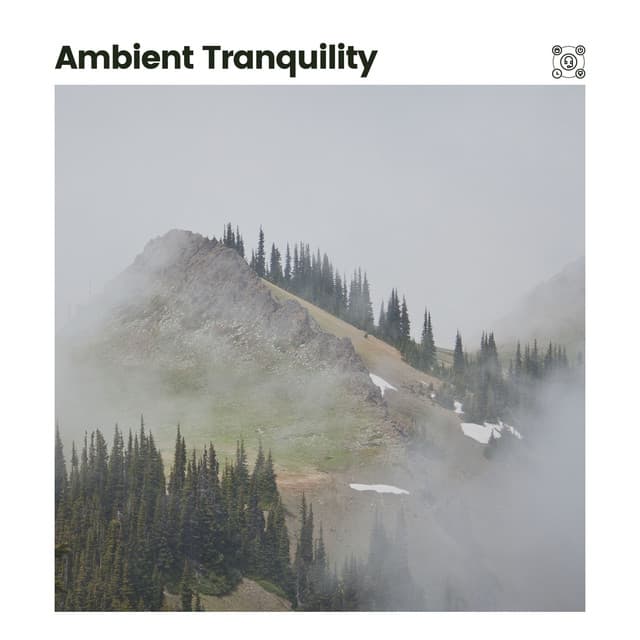Ambient Tranquility - Ruhige Musik