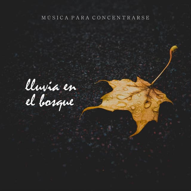 Música para Concentrarse: Lluvia en el Bosque - Musica Para Leer