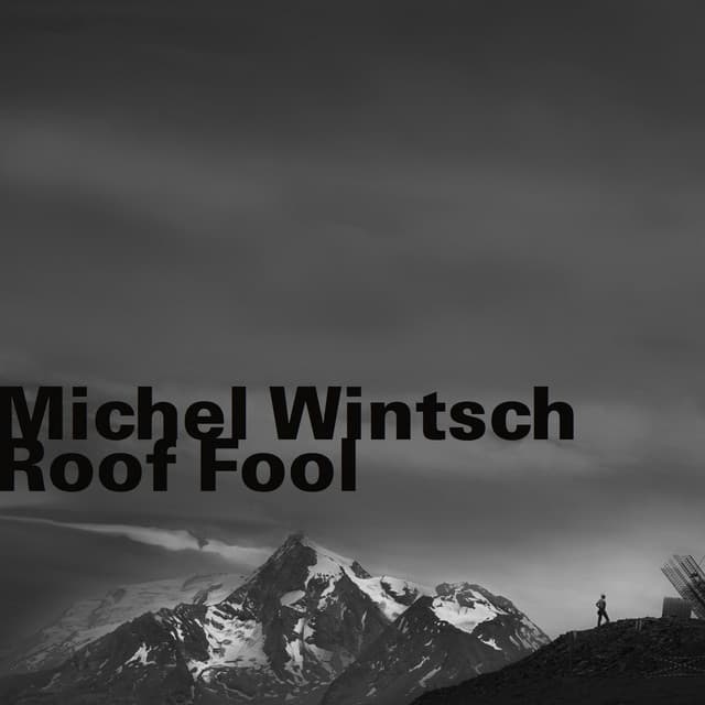Roof Fool - Michel Wintsch