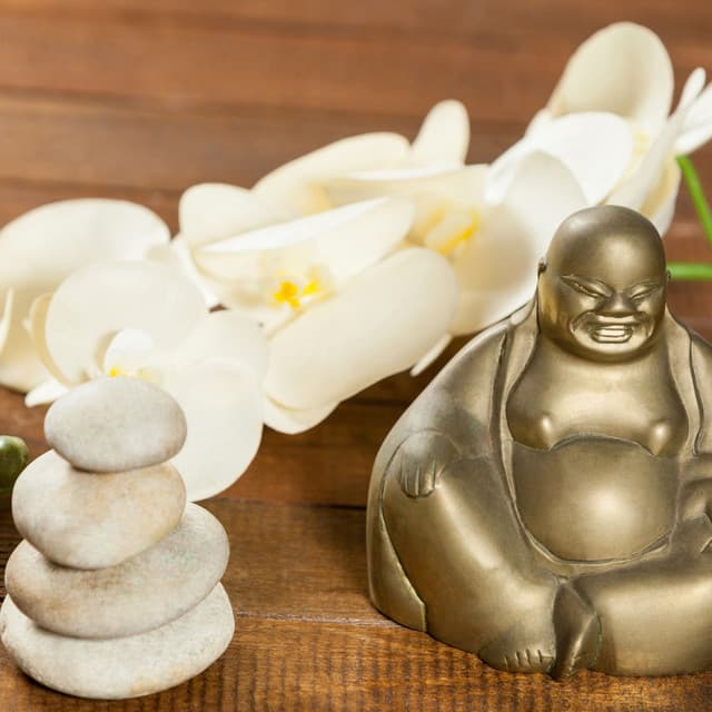 Freedom from Anxiety: Healing Vibrations, DNA Regeneration and Mind-Body Healing - Zone Meditation Music