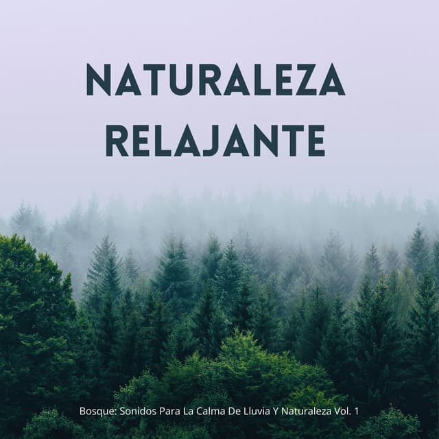 Bosque: Sonidos De Naturaleza Nocturna Relajante Vol. 1 - Tesoros del bosque