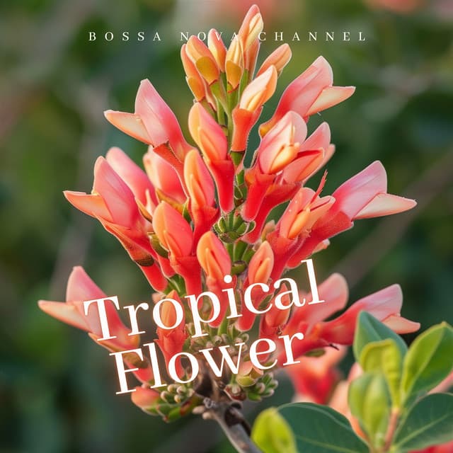 Tropical Flower - Bossa Nova Channel