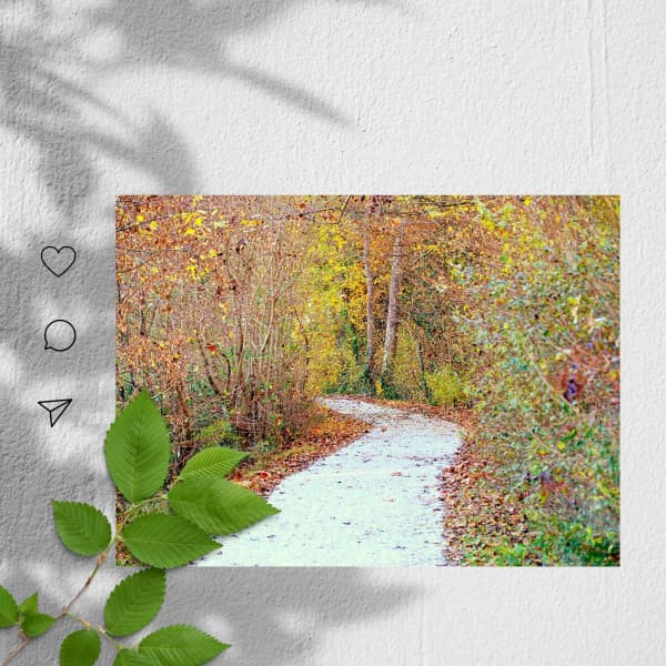 Feelings for Fresh Spring - Chill Music for Reading