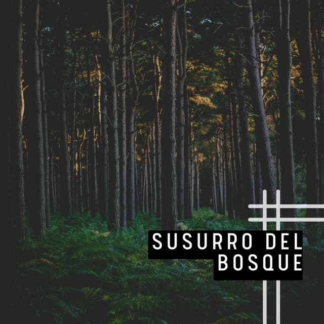 Susurro del Bosque - Música Relajante Para Leer