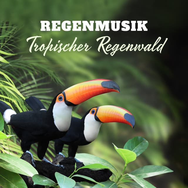 Regenmusik: Tropischer Regenwald – Wilde Naturmusiksammlung für Ruhe, Meditation, Spa und Schlaf - Spa Musik!