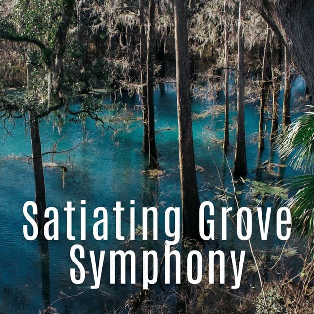 Satiating Grove Symphony - Forest FX