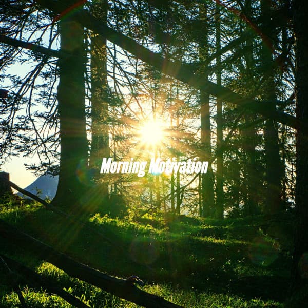 Morning Motivation - Classy Dinner Music