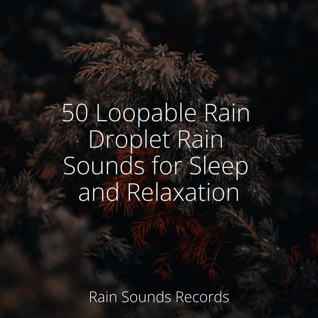 50 Loopable Rain Droplet Rain Sounds for Sleep and Relaxation - Forest Sounds